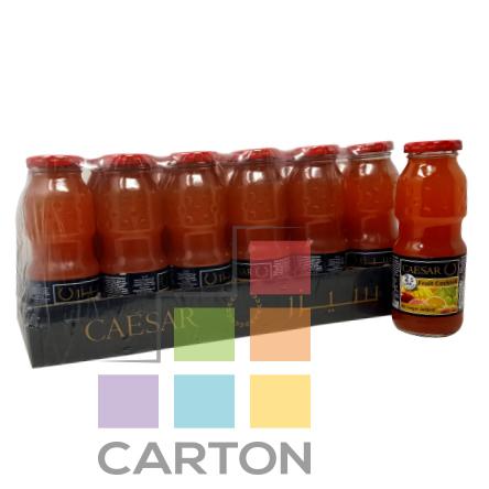 CAESAR BOTTEL FRUIT JUICE 24*250ML